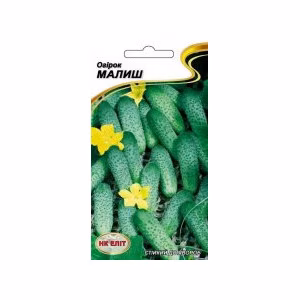 Огірок Малиш (НК ЕЛІТ) 15 нас.