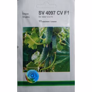 Огірок SV 4097 CV F1 (Seminis) 10 нас.
