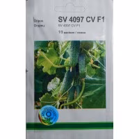 Огірок SV 4097 CV F1 (Seminis) 10 нас.