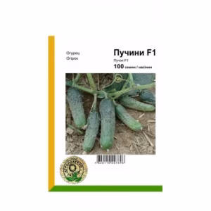 Огірок Пучіні F1 (Rijk Zwaan) 100 нас.