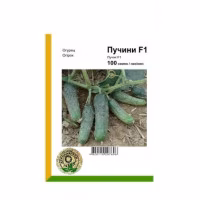 Огірок Пучіні F1 (Rijk Zwaan) 100 нас.