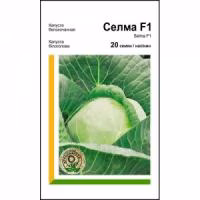 Капуста Селма F1 (Rijk Zwaan) 20 нас. Капуста Селма F1 (Rijk Zwaan) 20 нас.