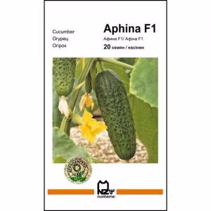 Огірок Афіна F1 (Nunhems) 20 нас.