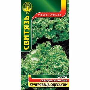 Салат Кучерявець одеський (Свитязь) 0,5 г.