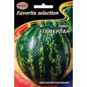 Кавун Тамерлан (НК ЕЛІТ) 10 г.