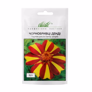 Чорнобривці розлогі Денді (Проф насіння) 0,2 г.