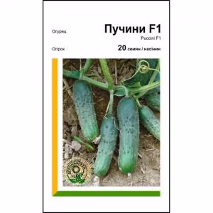 Огірок Пучіні F1 (Rijk Zwaan) 20 нас.