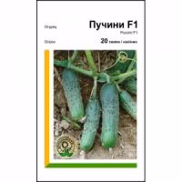 Огірок Пучіні F1 (Rijk Zwaan) 20 нас. Огірок Пучіні F1 (Rijk Zwaan) 20 нас.