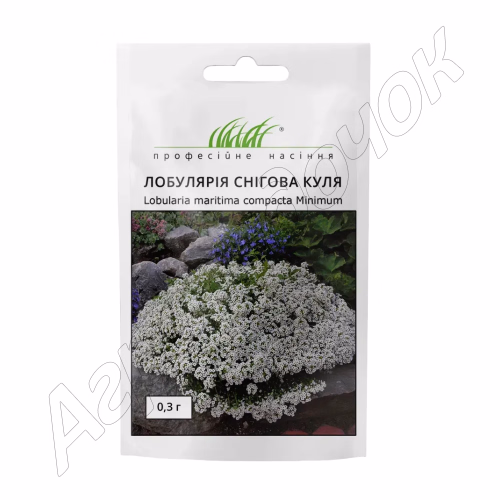Лобулярія морська Снігова куля (Проф Насіння) 0,3г.